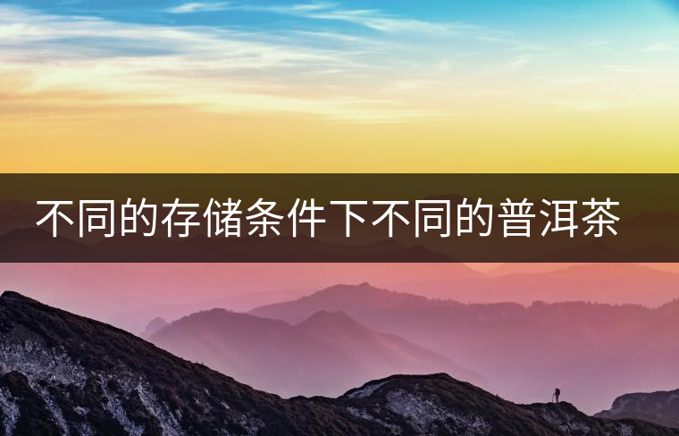 不同的存儲條件下不同的普洱茶倉位解析