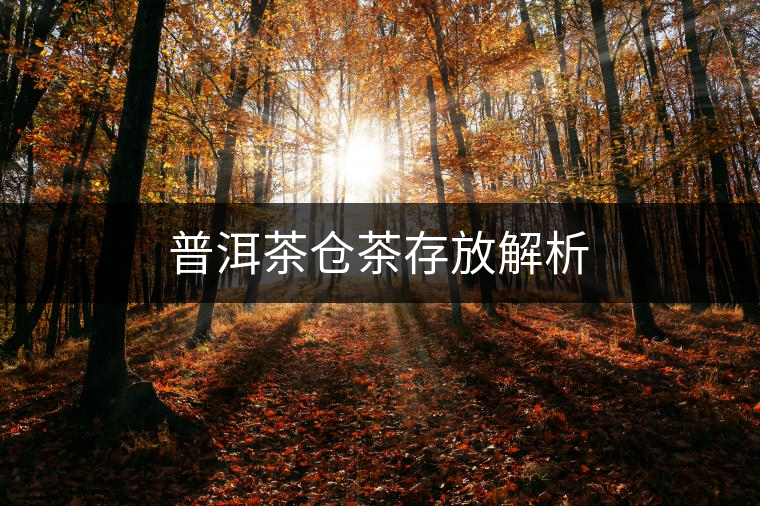 普洱茶倉(cāng)茶存放解析