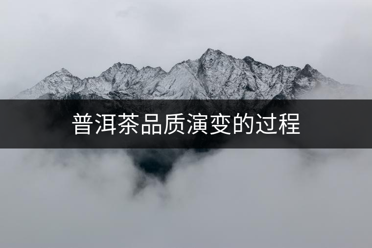 普洱茶品質(zhì)演變的過(guò)程