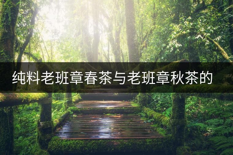 純料老班章春茶與老班章秋茶的區(qū)別 純料老班章春茶與老班章秋茶的區(qū)別