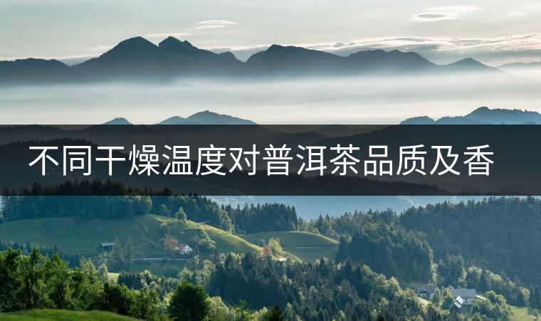 不同干燥溫度對(duì)普洱茶品質(zhì)及香氣的影響 不同干燥溫度對(duì)普洱茶品質(zhì)及香氣的影響