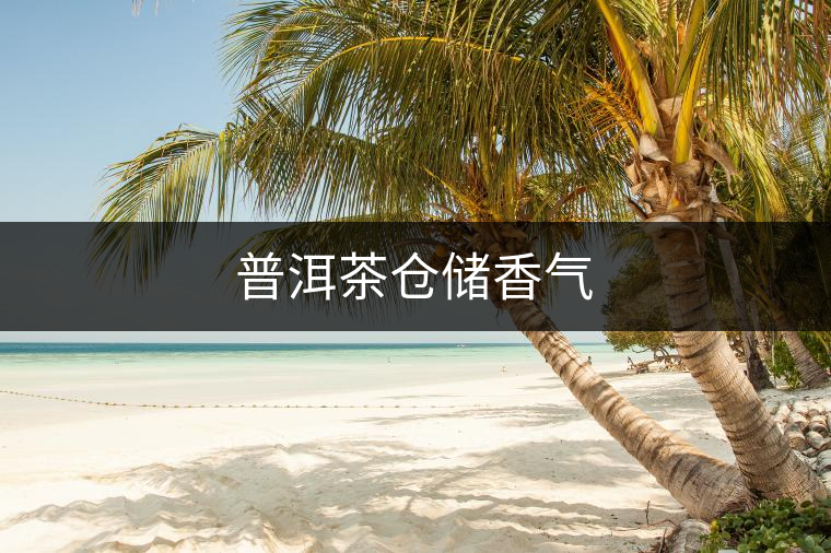 普洱茶倉儲香氣