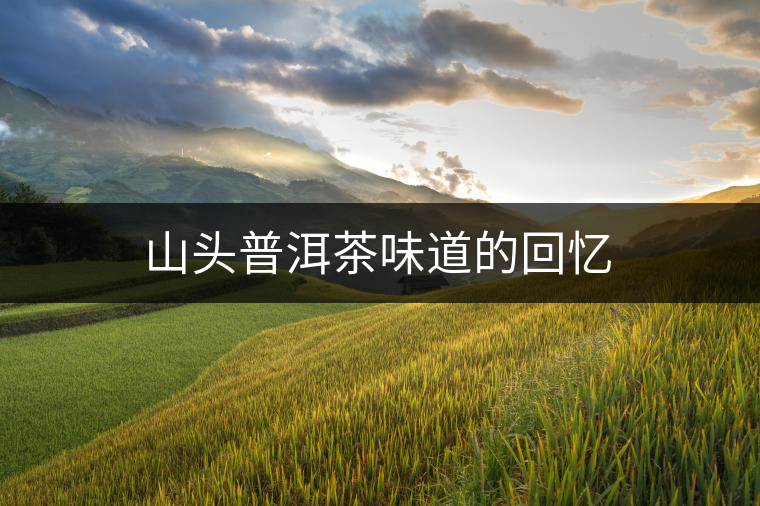 山頭普洱茶味道的回憶