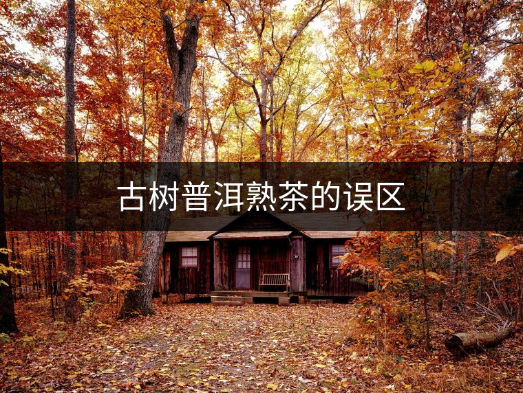 古樹普洱熟茶的誤區(qū)