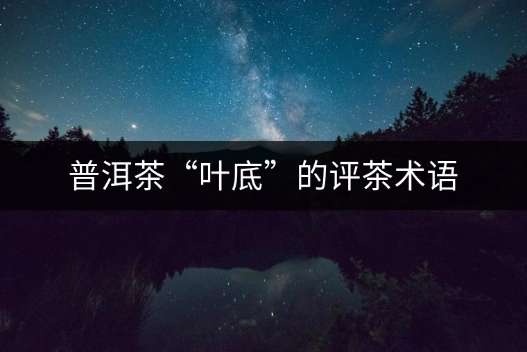 普洱茶“葉底”的評(píng)茶術(shù)語(yǔ)