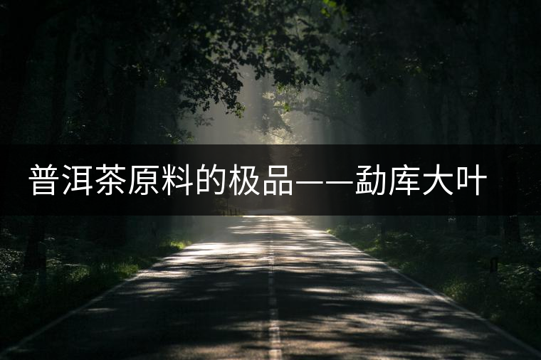 普洱茶原料的極品——勐庫大葉種茶