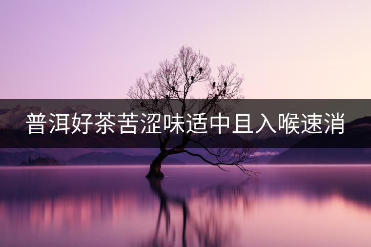 普洱好茶苦澀味適中且入喉速消
