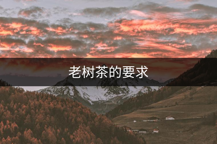 老樹茶的要求