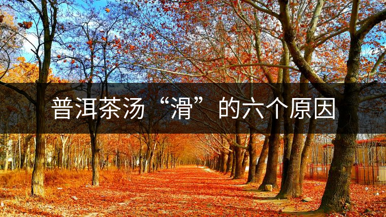 普洱茶湯“滑”的六個原因