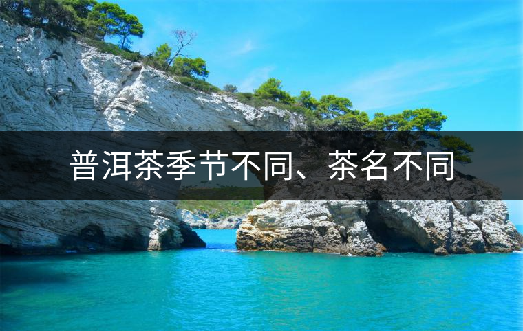 普洱茶季節(jié)不同、茶名不同