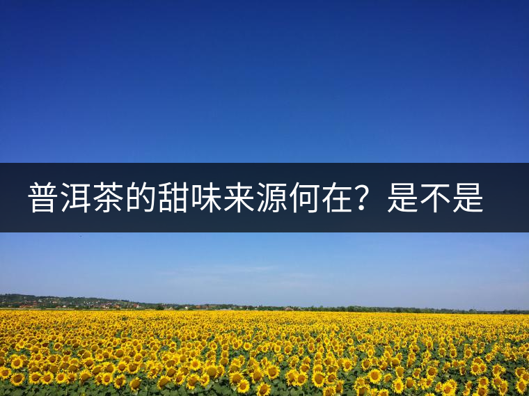 普洱茶的甜味來(lái)源何在？是不是茶湯中含糖？