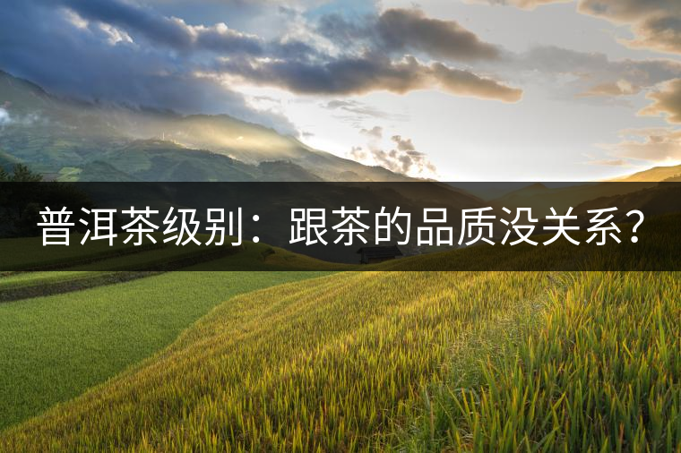 普洱茶級別：跟茶的品質(zhì)沒關(guān)系？