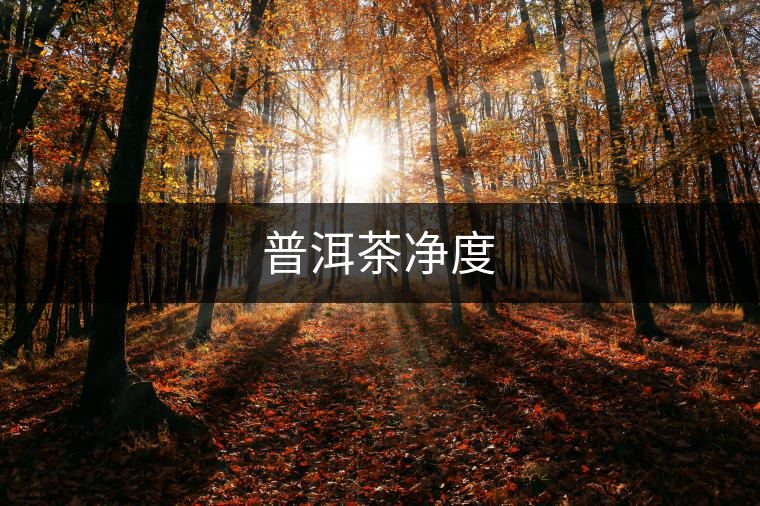 普洱茶凈度