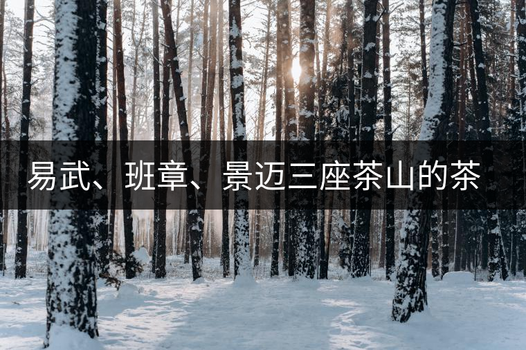易武、班章、景邁三座茶山的茶比較