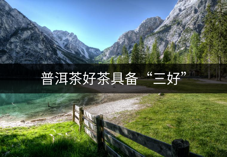 普洱茶好茶具備“三好”