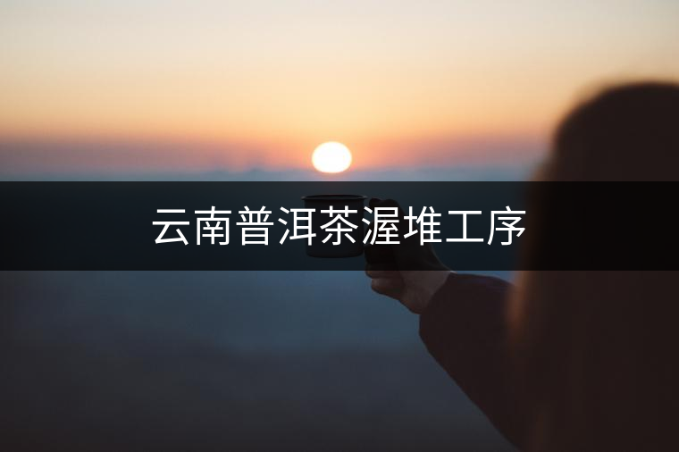 云南普洱茶渥堆工序