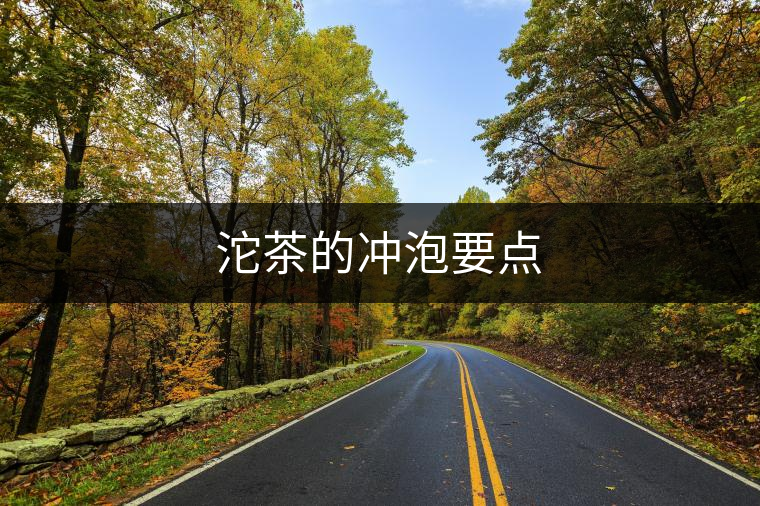 沱茶的沖泡要點(diǎn)