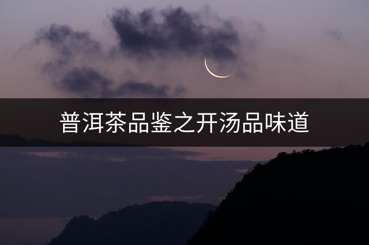 普洱茶品鑒之開湯品味道