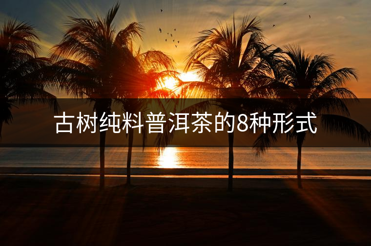 古樹純料普洱茶的8種形式