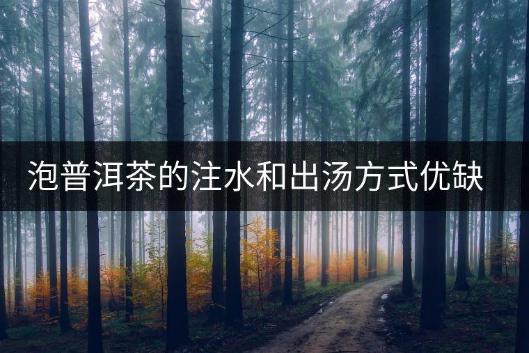 泡普洱茶的注水和出湯方式優(yōu)缺點(diǎn)總結(jié)