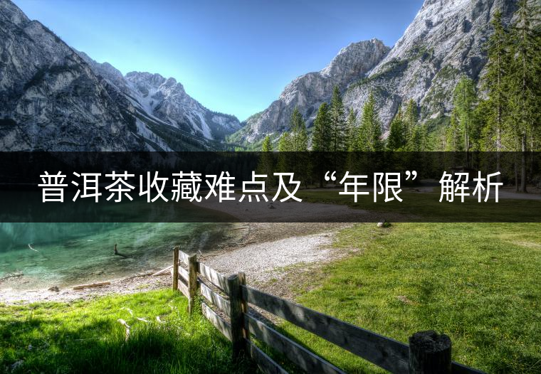 普洱茶收藏難點(diǎn)及“年限”解析