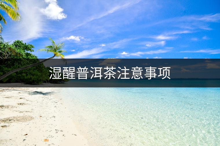 濕醒普洱茶注意事項