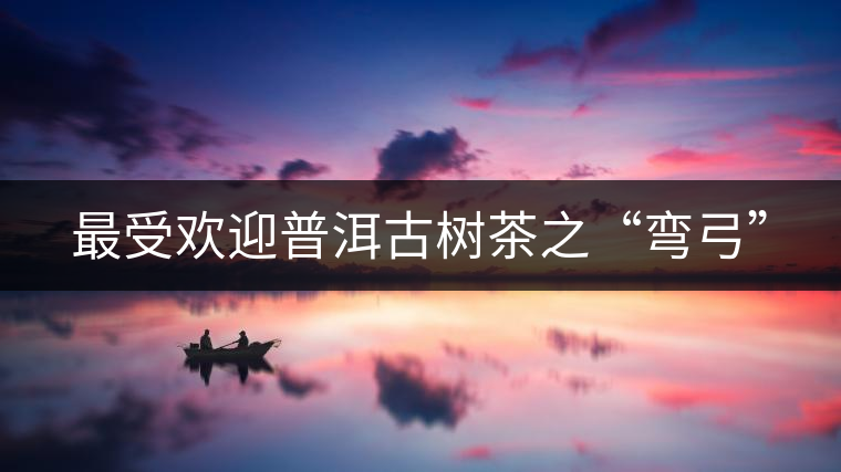 最受歡迎普洱古樹茶之“彎弓”