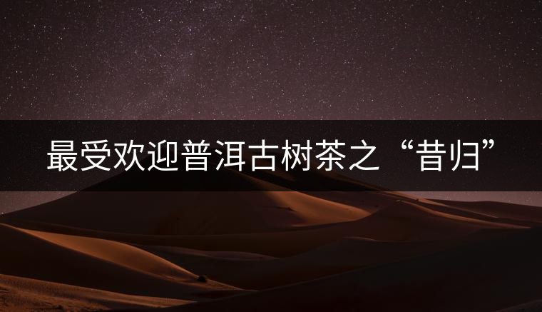 最受歡迎普洱古樹茶之“昔歸”