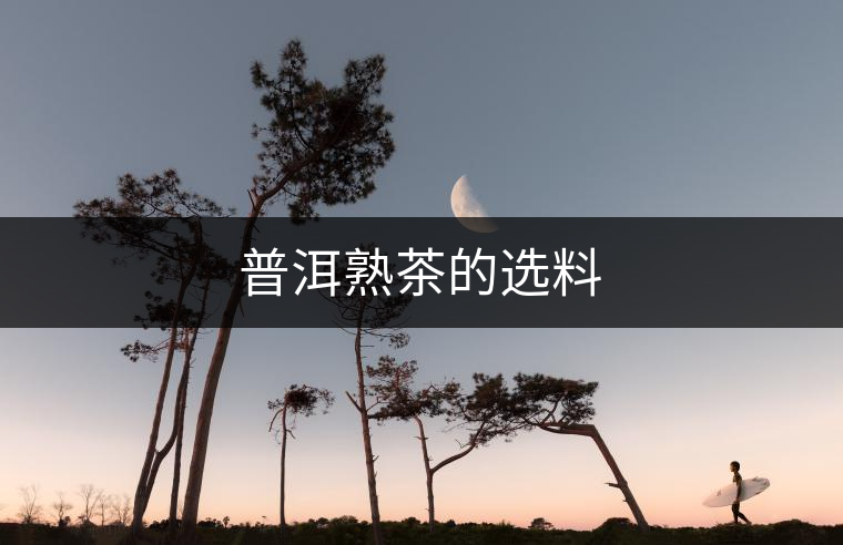 普洱熟茶的選料