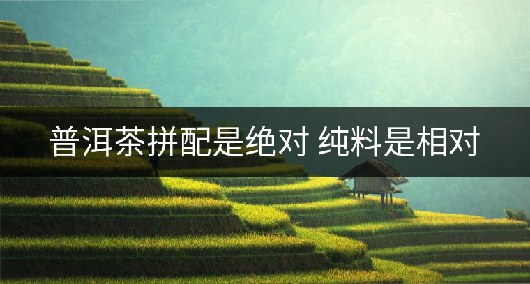 普洱茶拼配是絕對(duì) 純料是相對(duì)