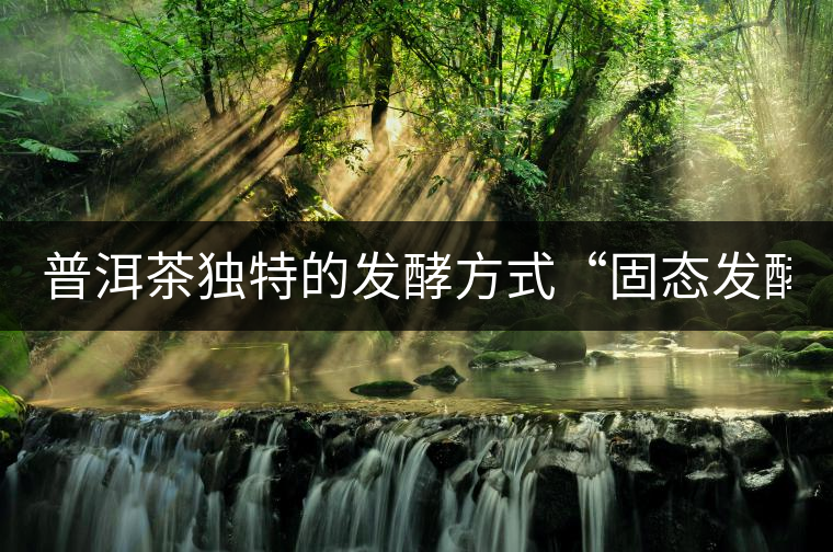 普洱茶獨特的發(fā)酵方式“固態(tài)發(fā)酵”