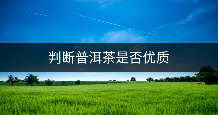 判斷普洱茶是否優(yōu)質