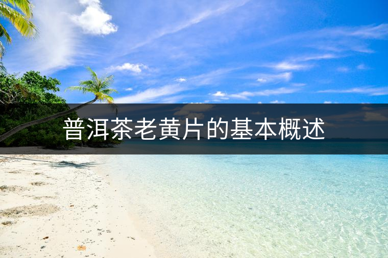 普洱茶老黃片的基本概述