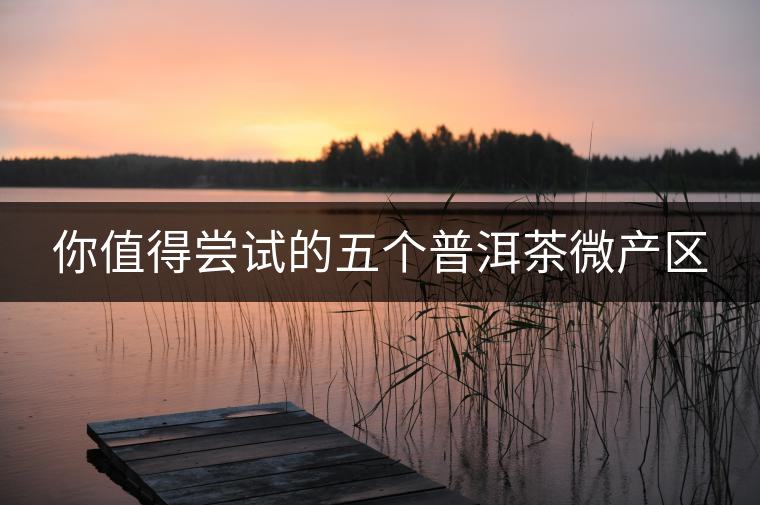 你值得嘗試的五個普洱茶微產區(qū)