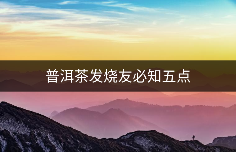 普洱茶發(fā)燒友必知五點(diǎn) 普洱茶發(fā)燒友必知五點(diǎn)