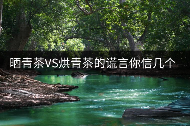 曬青茶VS烘青茶的謊言你信幾個？