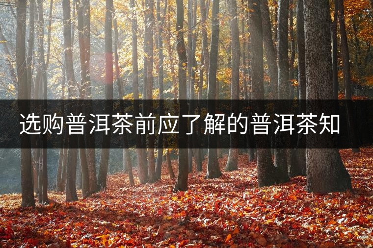 選購(gòu)普洱茶前應(yīng)了解的普洱茶知識(shí)