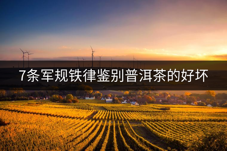 7條軍規(guī)鐵律鑒別普洱茶的好壞