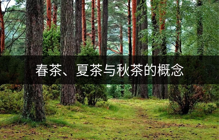春茶、夏茶與秋茶的概念
