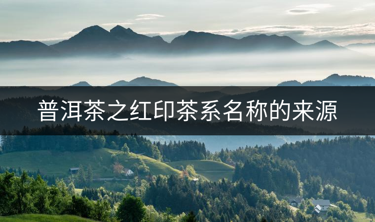 普洱茶之紅印茶系名稱的來源 普洱茶之紅印茶系名稱的來源