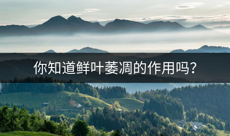 你知道鮮葉萎凋的作用嗎？