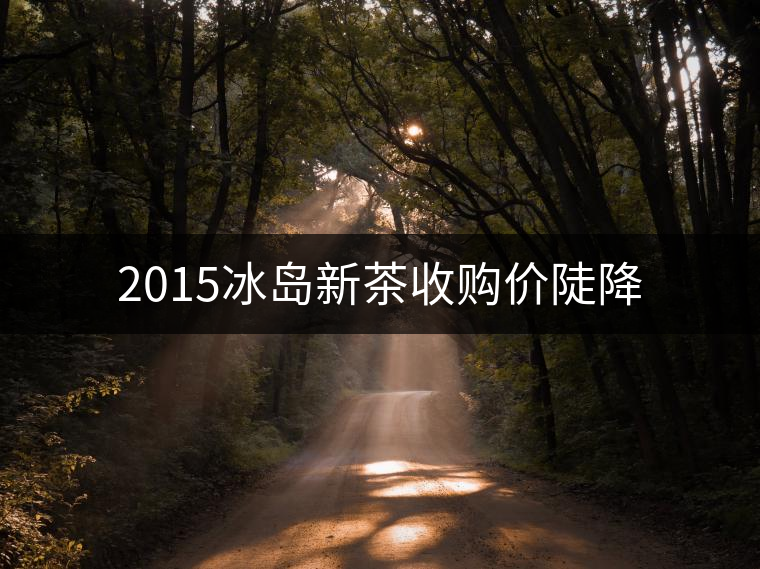 2015冰島新茶收購價陡降