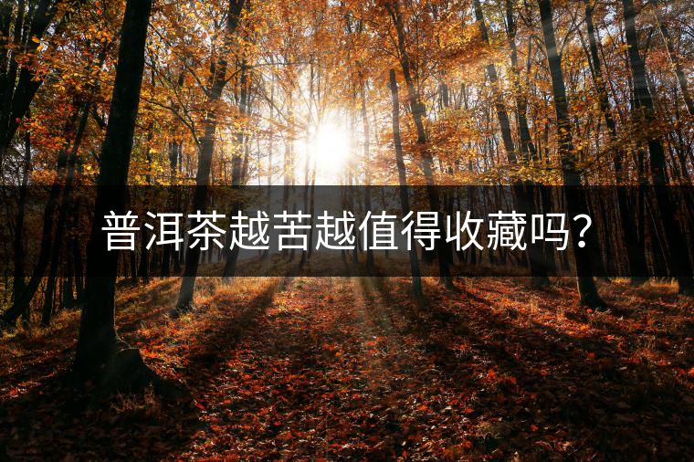普洱茶越苦越值得收藏嗎？