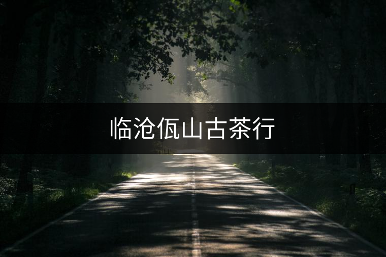 臨滄佤山古茶行