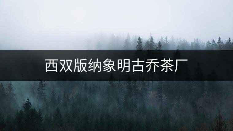 西雙版納象明古喬茶廠 西雙版納象明古喬茶廠