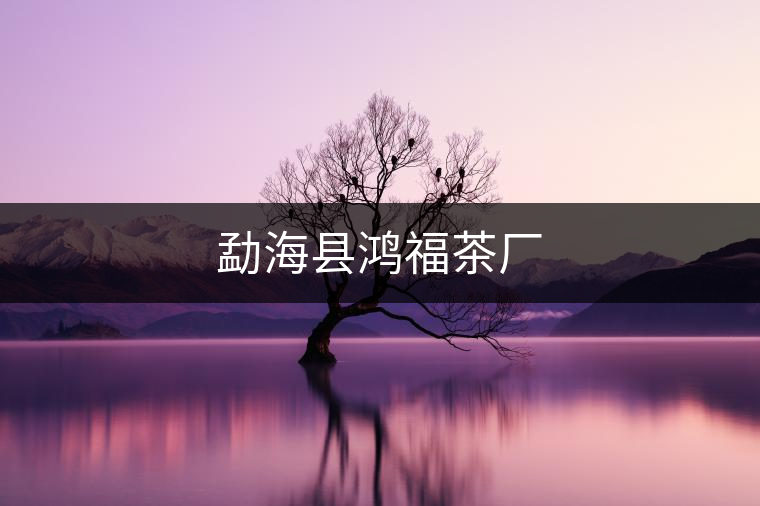 勐?？h鴻福茶廠