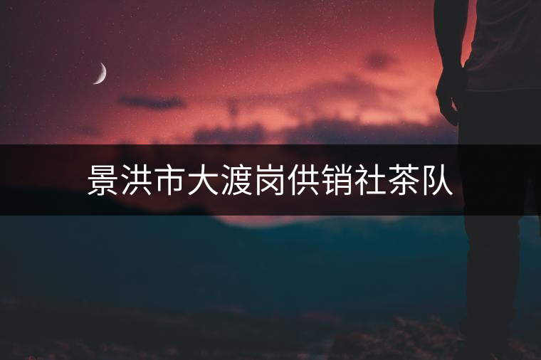 景洪市大渡崗供銷社茶隊 景洪市大渡崗供銷社茶隊