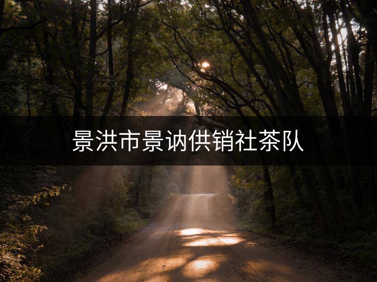 景洪市景訥供銷(xiāo)社茶隊(duì)