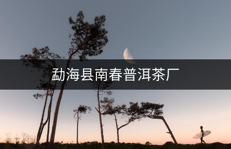 勐?？h南春普洱茶廠