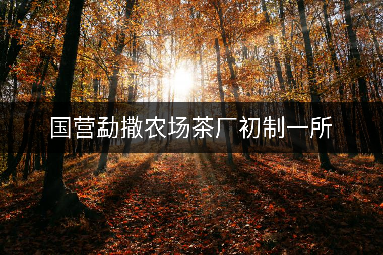 國(guó)營(yíng)勐撒農(nóng)場(chǎng)茶廠初制一所 國(guó)營(yíng)勐撒農(nóng)場(chǎng)茶廠初制一所